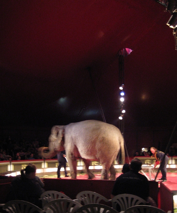 cirkus_alex_20080330_188.JPG