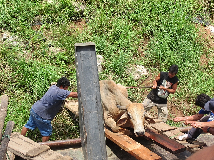 peru_0185.JPG - Loading the boat