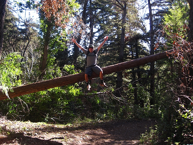 big_sur_067.JPG