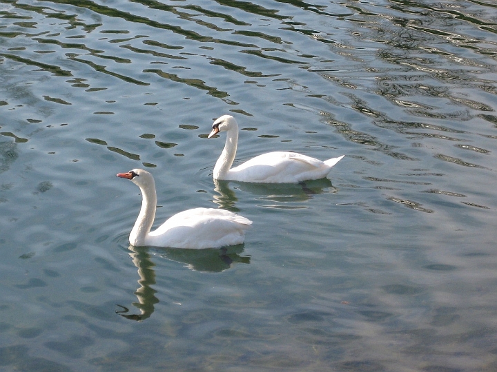 IMG_0651.JPG