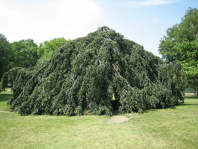 london_002.jpg