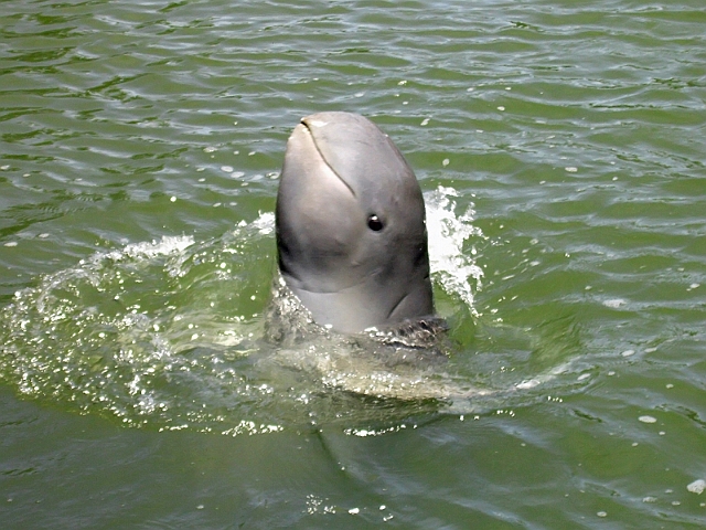 DSCN0765.JPG
