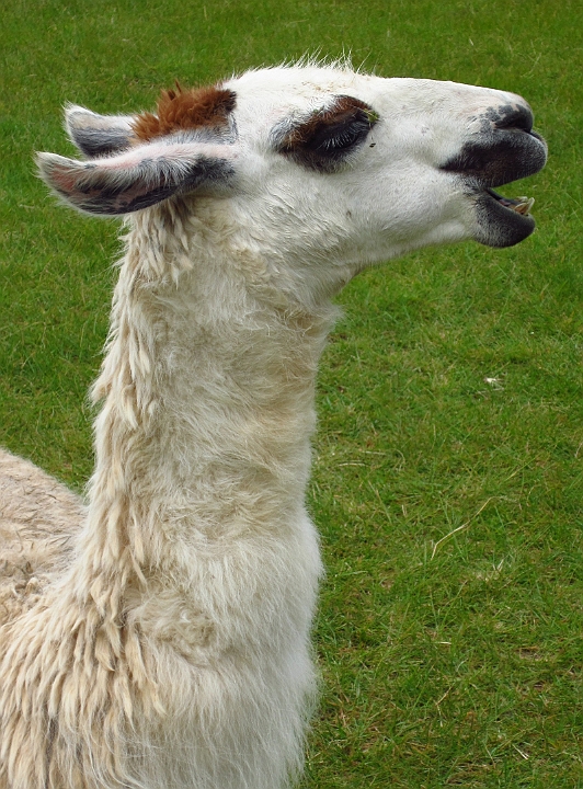 peru_1228.JPG