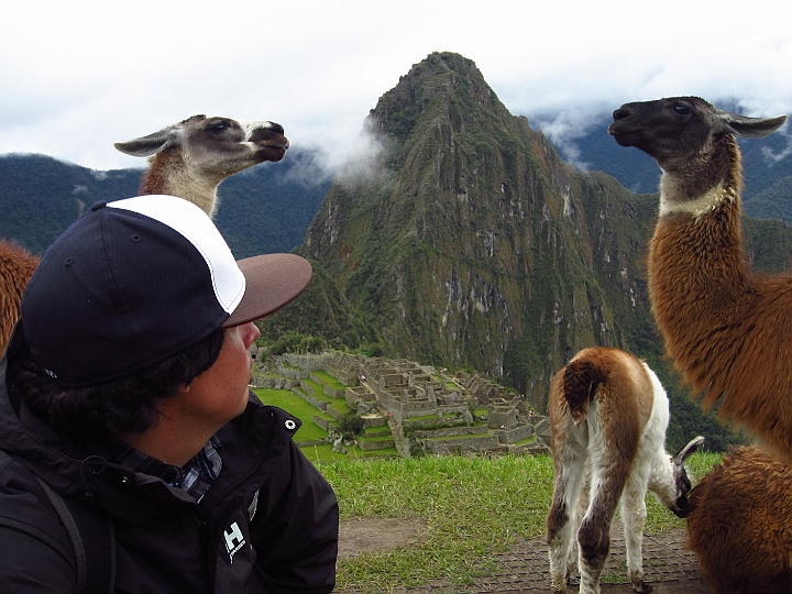 peru_1244.JPG