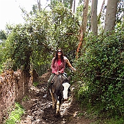 peru_0874