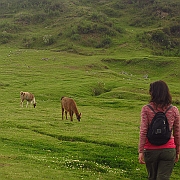 peru_0877
