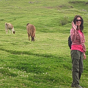 peru_0878