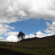peru_0879