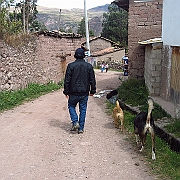 peru_0943