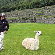 peru_1224