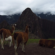 peru_1233