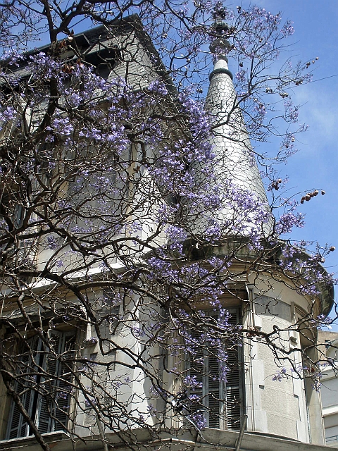 centro_047.JPG - Recoleta Neighborhood