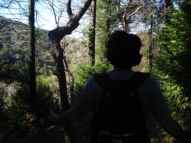 big_sur_063.JPG