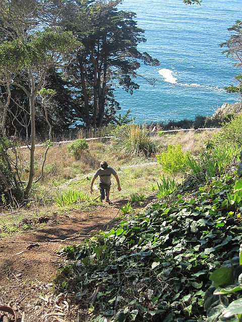 big_sur_111.JPG