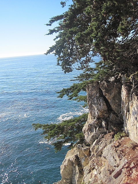 big_sur_125.JPG