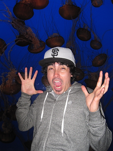 monterey_050.JPG