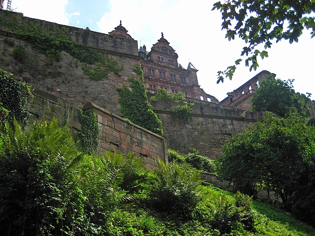 heidelberg_043.JPG