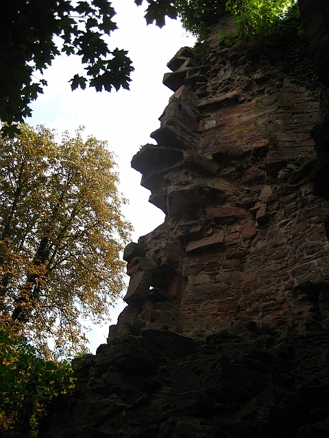 heidelberg_044.JPG