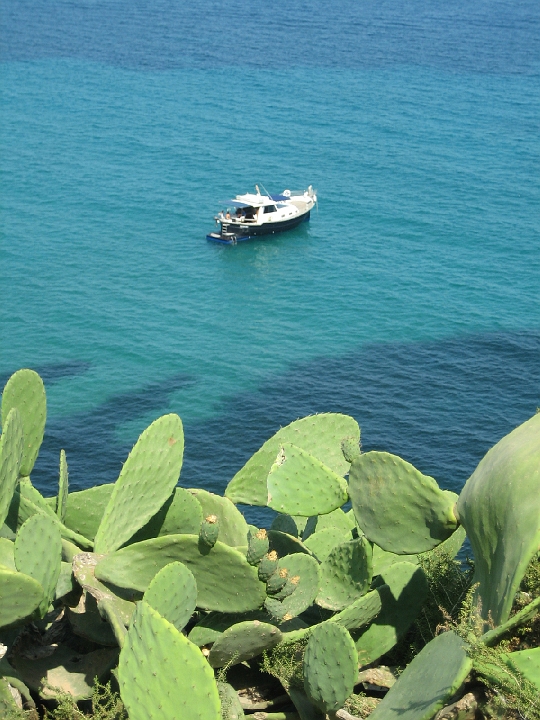 ibiza_20060707_020.jpg
