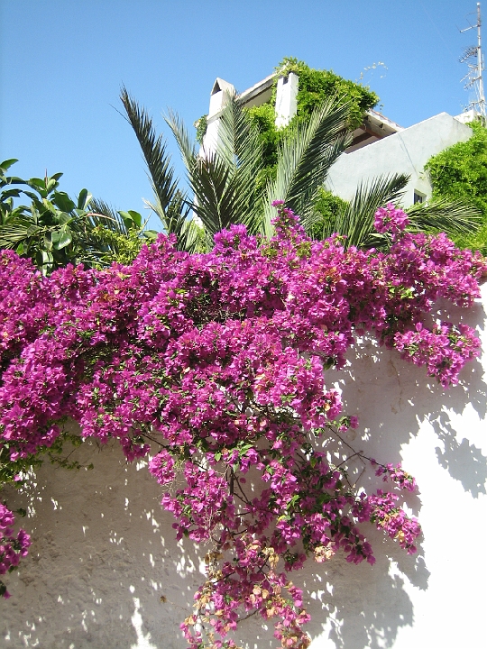 ibiza_20060707_024.jpg