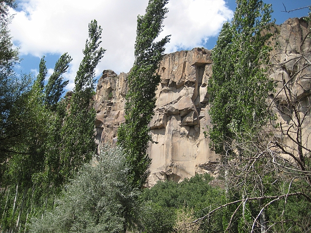 IMG_6063.JPG