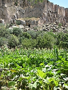 IMG_6086