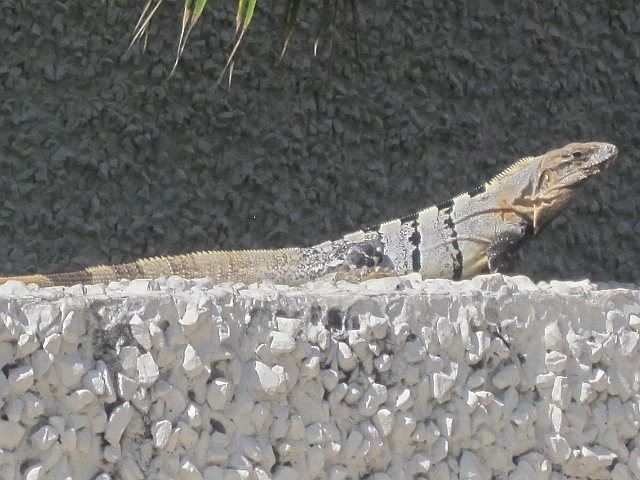 Mexico_175.JPG