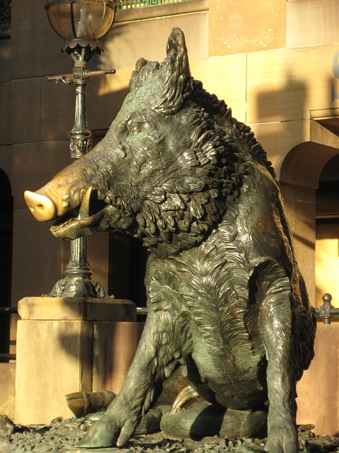 sydney_531.JPG - Lucky Boar