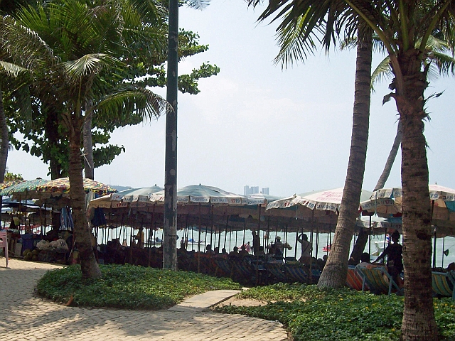100_21711.jpg