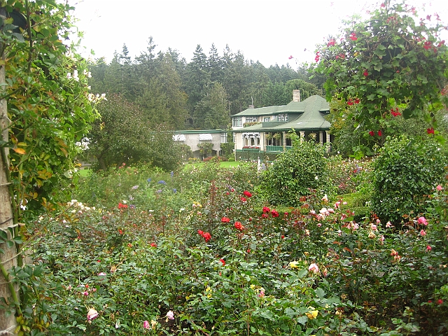 family_2010_115.JPG