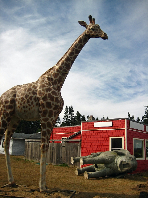 whidbey_2009_181.JPG