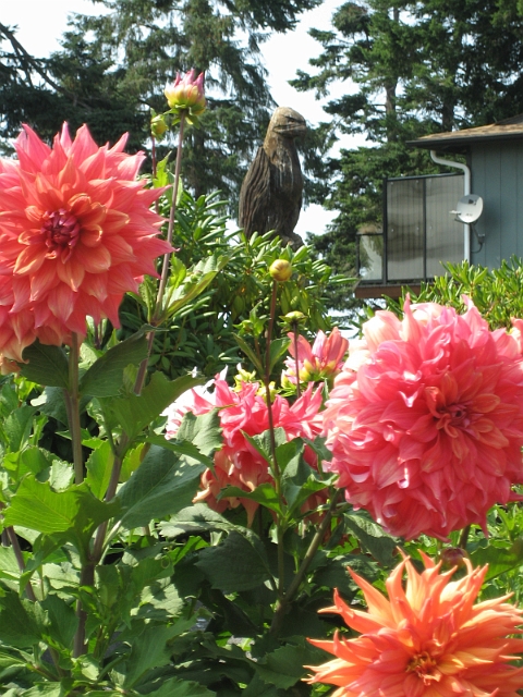 whidbey_island_087.jpg